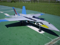 F18 Hornet v Wilfried